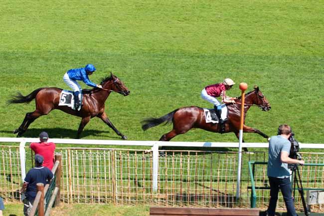 Photo d'arrivée de la course pmu PRIX DE LA HAUTE BORNE à FONTAINEBLEAU le Jeudi 1 juin 2017