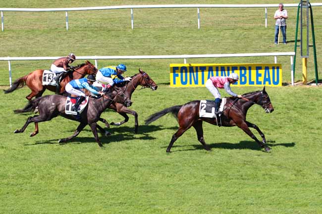 Photo d'arrivée de la course pmu PRIX DES VERNES à FONTAINEBLEAU le Jeudi 1 juin 2017