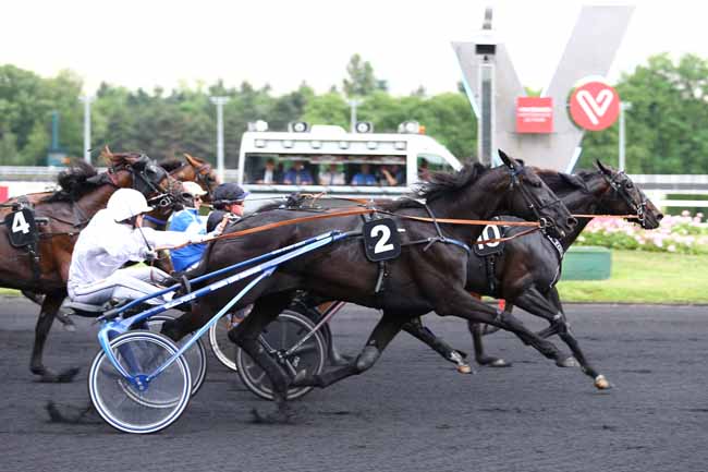 Photo d'arrivée de la course pmu PRIX PYTHIA à PARIS-VINCENNES le Vendredi 2 juin 2017