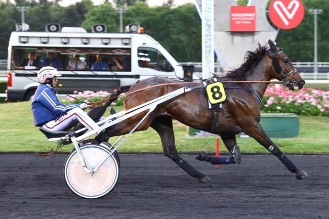 Photo d'arrivée de la course pmu PRIX KISSA à PARIS-VINCENNES le Vendredi 2 juin 2017