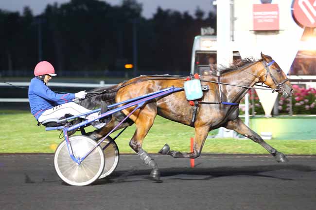 Photo d'arrivée de la course pmu PRIX RHEITA à PARIS-VINCENNES le Vendredi 2 juin 2017