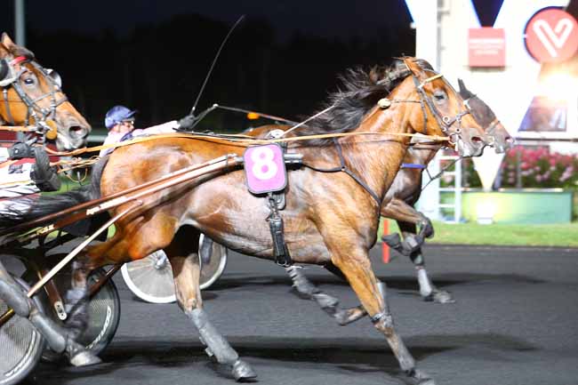 Photo d'arrivée de la course pmu PRIX MARCEL PERLBARG à PARIS-VINCENNES le Vendredi 2 juin 2017