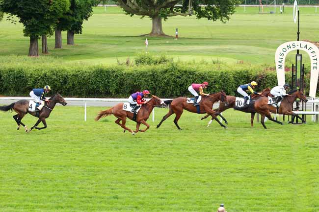 Photo d'arrivée de la course pmu PRIX DE CHEFFREVILLE à MAISONS-LAFFITTE le Samedi 3 juin 2017
