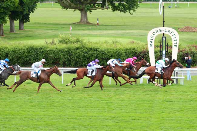Photo d'arrivée de la course pmu PRIX DU PALAIS DU LOUVRE à MAISONS-LAFFITTE le Samedi 3 juin 2017