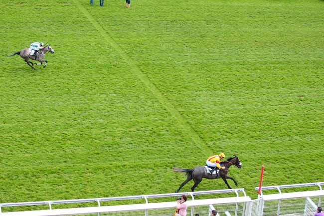 Photo d'arrivée de la course pmu PRIX BOIS ROUAUD à AUTEUIL le Lundi 5 juin 2017