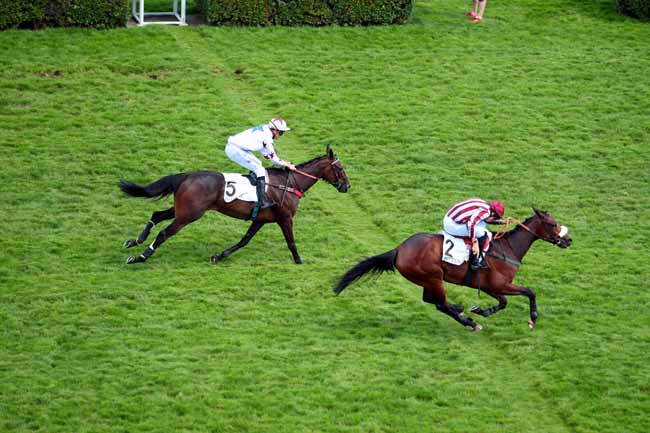 Photo d'arrivée de la course pmu PRIX DU BOULONNAIS à AUTEUIL le Lundi 5 juin 2017