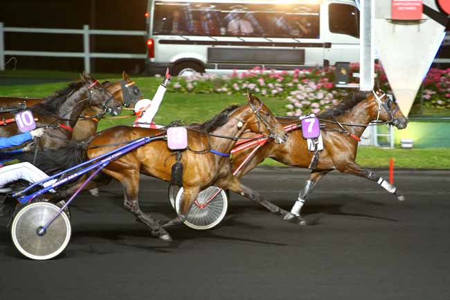 Photo d'arrivée de la course pmu PRIX GERALDINA à PARIS-VINCENNES le Mardi 6 juin 2017
