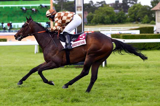 Photo d'arrivée de la course pmu PRIX DES GENTIANES à CLAIREFONTAINE le Mercredi 7 juin 2017
