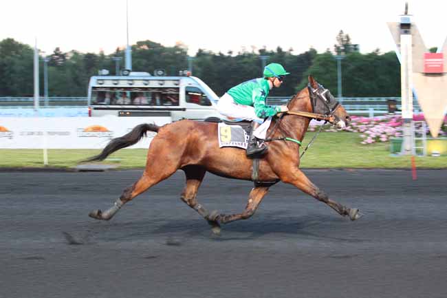 Photo d'arrivée de la course pmu PRIX ISTRIA à PARIS-VINCENNES le Vendredi 9 juin 2017