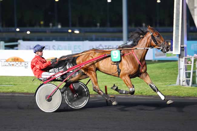 Photo d'arrivée de la course pmu PRIX ARA à PARIS-VINCENNES le Vendredi 9 juin 2017