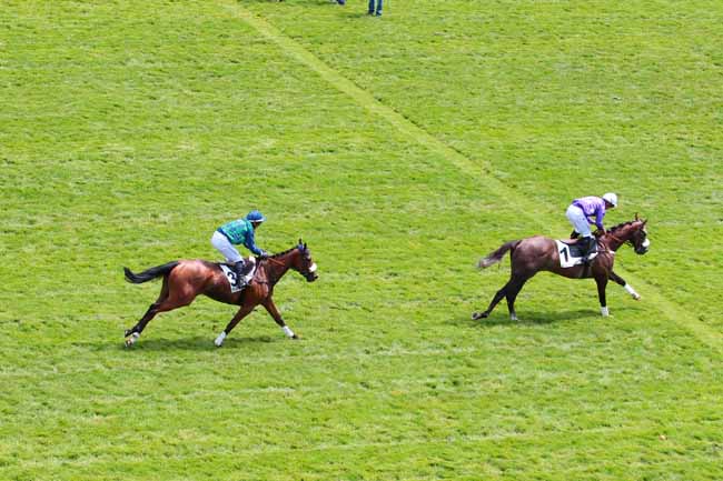 Photo d'arrivée de la course pmu PRIX AGUADO à AUTEUIL le Dimanche 11 juin 2017