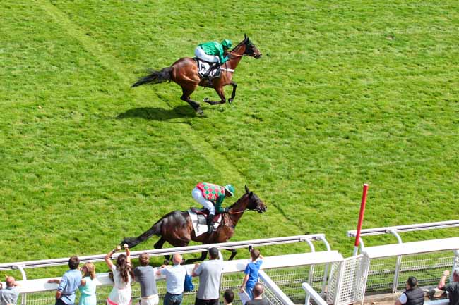 Photo d'arrivée de la course pmu GRANDE COURSE DE HAIES D'AUTEUIL à AUTEUIL le Dimanche 11 juin 2017