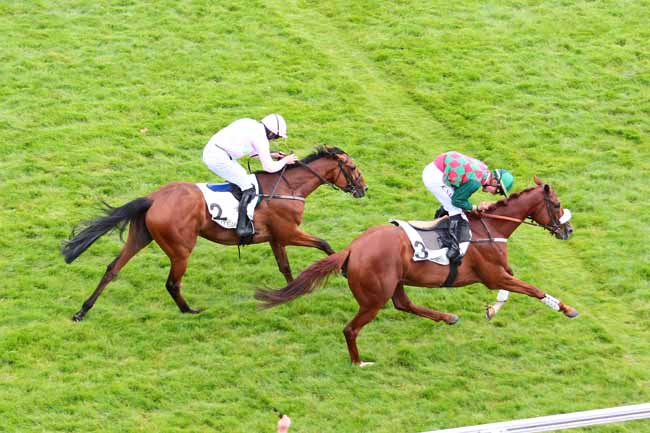 Photo d'arrivée de la course pmu PRIX ALAIN DU BREIL- COURSE DE HAIES D'ETE DES QUATRE ANS à AUTEUIL le Dimanche 11 juin 2017
