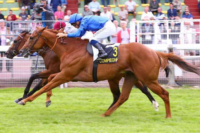 Photo d'arrivée de la course pmu PRIX RIDGWAY à COMPIEGNE le Lundi 12 juin 2017