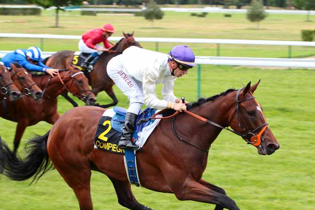 Photo d'arrivée de la course pmu PRIX MELISANDE à COMPIEGNE le Lundi 12 juin 2017