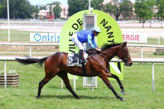 Photo d'arrivée de la course pmu GRAND PRIX DES AQPS à NANTES le Mardi 13 juin 2017