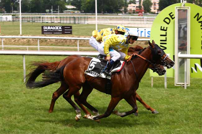 Photo d'arrivée de la course pmu GRAND PRIX SYNERGIE à NANTES le Mardi 13 juin 2017