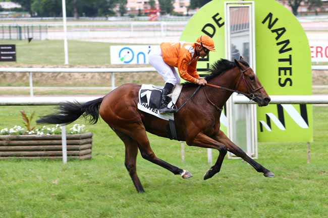 Photo d'arrivée de la course pmu PRIX DU PETIT PORT à NANTES le Mardi 13 juin 2017