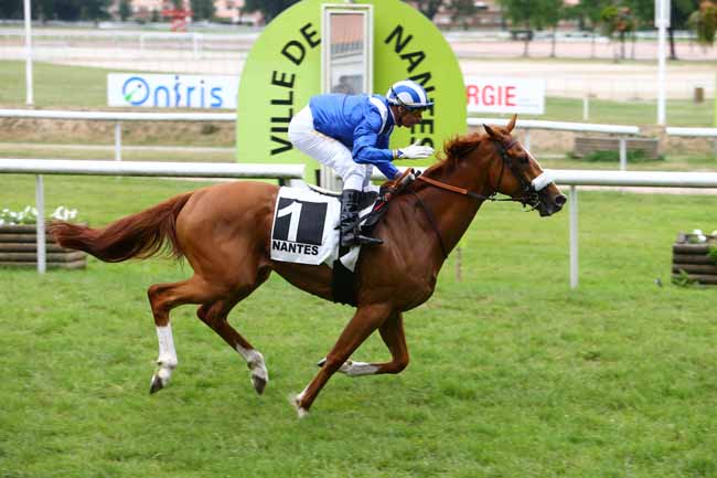 Photo d'arrivée de la course pmu PRIX DU VAL D'ERDRE à NANTES le Mardi 13 juin 2017