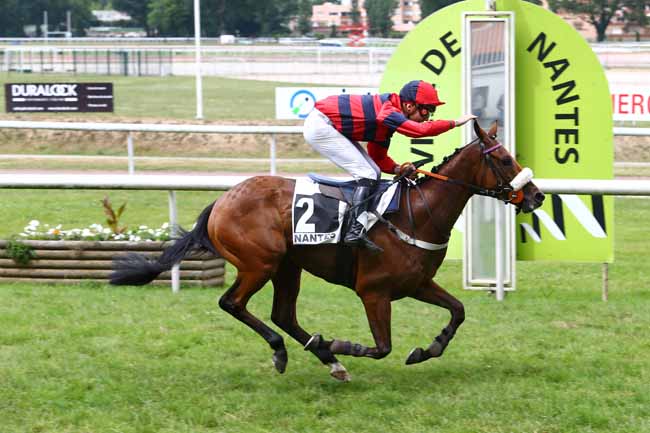 Photo d'arrivée de la course pmu PRIX KERIVON à NANTES le Mardi 13 juin 2017