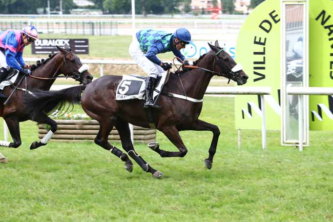 Photo d'arrivée de la course pmu PRIX GERALD DE ROCHEFORT à NANTES le Mardi 13 juin 2017