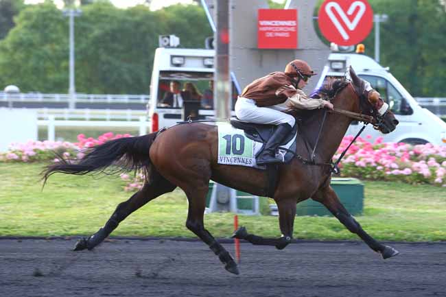 Photo d'arrivée de la course pmu PRIX JEAN PAUL FAIRAND à PARIS-VINCENNES le Mardi 13 juin 2017