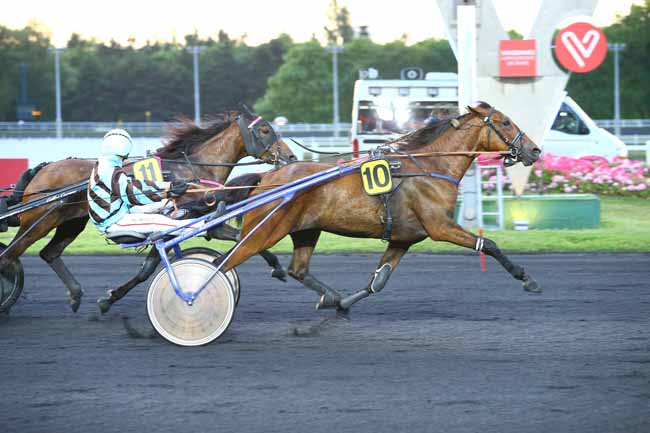 Photo d'arrivée de la course pmu PRIX PENELOPE à PARIS-VINCENNES le Mardi 13 juin 2017