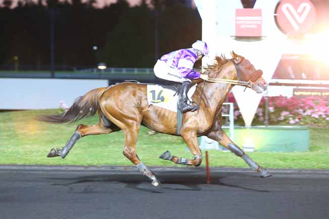 Photo d'arrivée de la course pmu PRIX TYCHE à PARIS-VINCENNES le Mardi 13 juin 2017