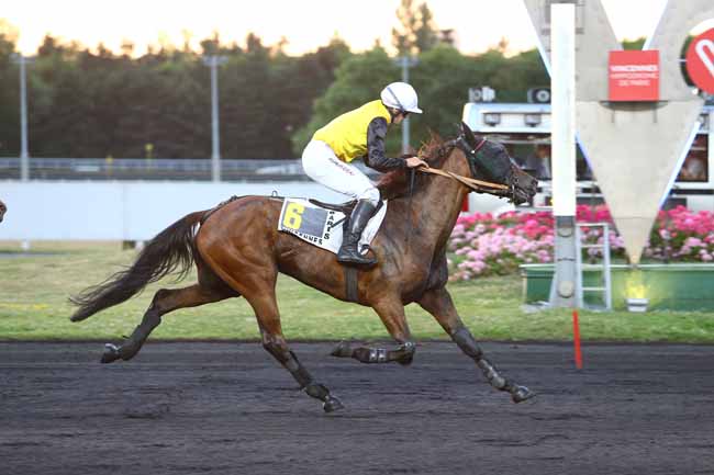 Photo d'arrivée de la course pmu PRIX TORONTIUS à PARIS-VINCENNES le Vendredi 16 juin 2017