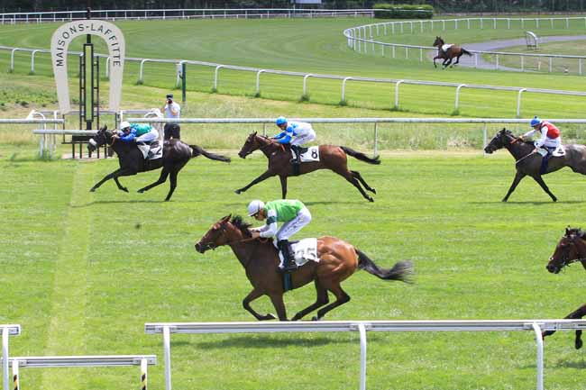 Photo d'arrivée de la course pmu PRIX DE LA PLACE MONTAIGNE à MAISONS-LAFFITTE le Vendredi 16 juin 2017
