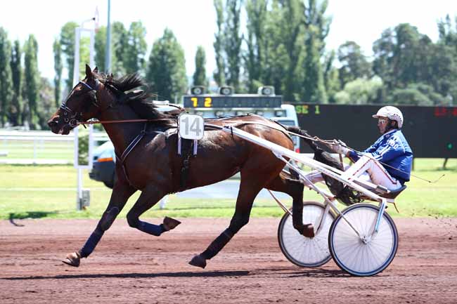 Photo d'arrivée de la course pmu PRIX DE COGNAT-LYONNE à VICHY le Lundi 19 juin 2017