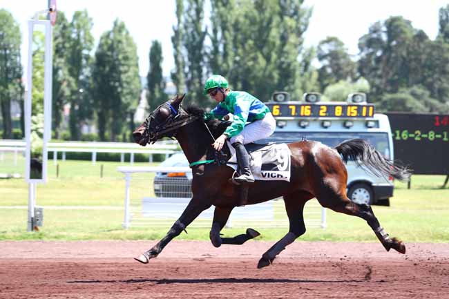 Photo d'arrivée de la course pmu PRIX BELLINO II à VICHY le Lundi 19 juin 2017