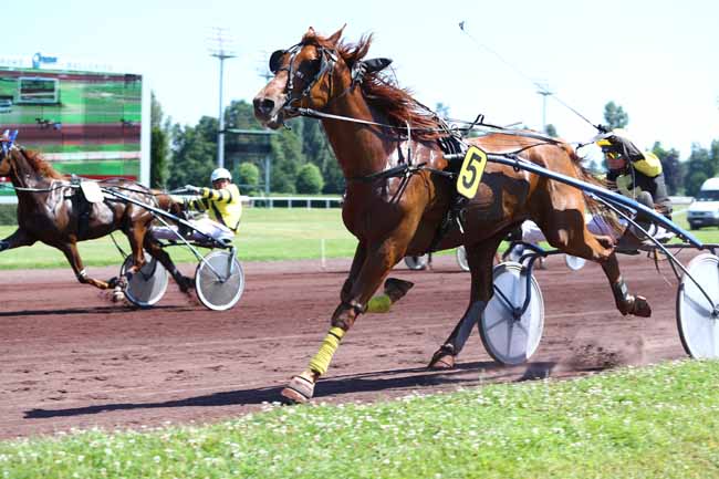 Photo d'arrivée de la course pmu PRIX DE GERZAT à VICHY le Lundi 19 juin 2017