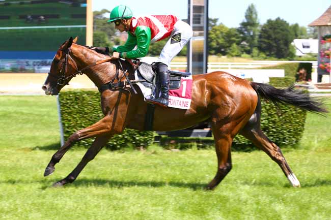 Photo d'arrivée de la course pmu PRIX BELLE ISLE à CLAIREFONTAINE le Lundi 19 juin 2017