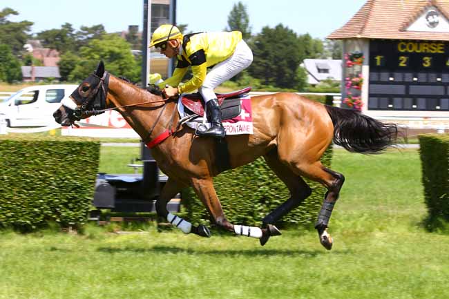 Photo d'arrivée de la course pmu PRIX COUREUSE DE NUIT à CLAIREFONTAINE le Lundi 19 juin 2017