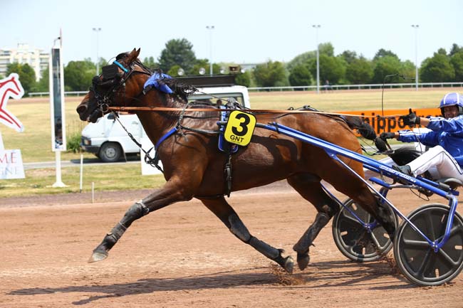 Photo d'arrivée de la course pmu GRAND NATIONAL DU TROT PARIS-TURF à REIMS le Mercredi 21 juin 2017