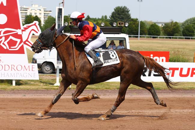 Photo d'arrivée de la course pmu PRIX DU JOURNAL L'UNION à REIMS le Mercredi 21 juin 2017