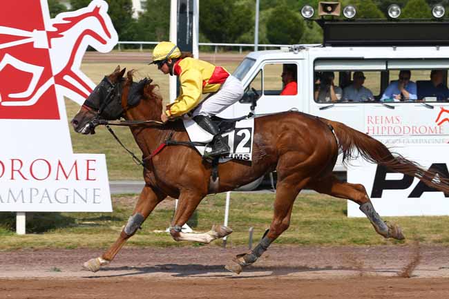 Photo d'arrivée de la course pmu PRIX DE LA LIGUE CONTRE LA CARDIOMYOPATHIE à REIMS le Mercredi 21 juin 2017