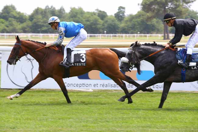 Photo d'arrivée de la course pmu PRIX LOXAM à LA TESTE DE BUCH le Jeudi 22 juin 2017