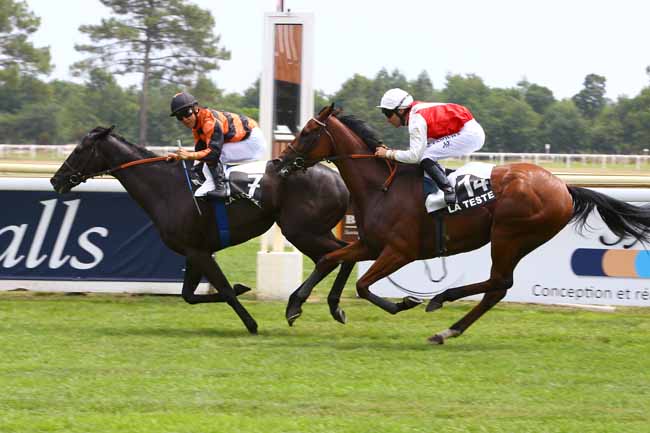 Photo d'arrivée de la course pmu PRIX DU BASSIN D'ARCACHON - SABT à LA TESTE DE BUCH le Jeudi 22 juin 2017