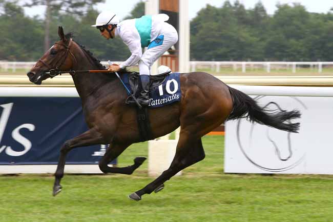 Photo d'arrivée de la course pmu PRIX LA SORELLINA - TATTERSALLS à LA TESTE DE BUCH le Jeudi 22 juin 2017