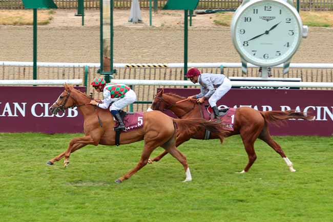 Photo d'arrivée de la course pmu QATAR COUPE DE FRANCE DES CHEVAUX ARABES à CHANTILLY le Vendredi 23 juin 2017