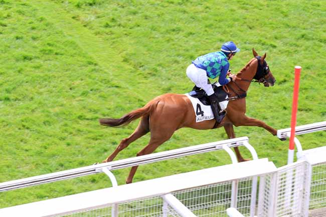 Photo d'arrivée de la course pmu PRIX DU JURANCON à AUTEUIL le Vendredi 23 juin 2017