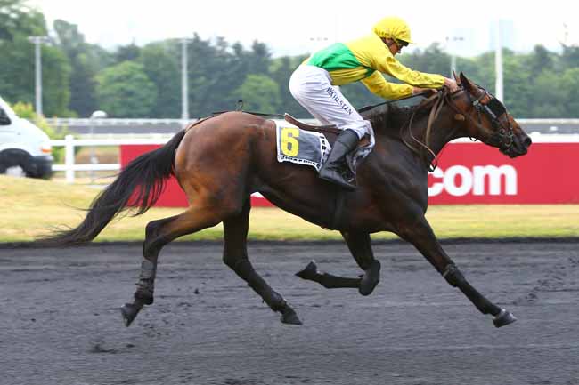 Photo d'arrivée de la course pmu PRIX CYBELE à PARIS-VINCENNES le Mardi 27 juin 2017