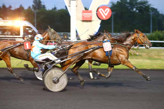 Photo d'arrivée de la course pmu PRIX THALIA à PARIS-VINCENNES le Mardi 27 juin 2017