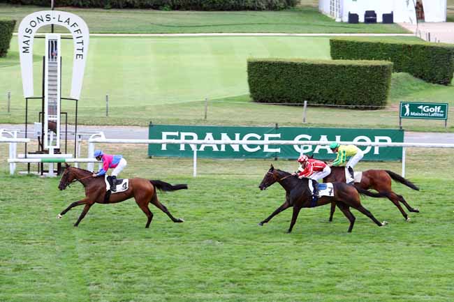 Photo d'arrivée de la course pmu PRIX DE L'ETOILE DU BON SECOURS à MAISONS-LAFFITTE le Mercredi 28 juin 2017