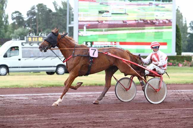 Photo d'arrivée de la course pmu PRIX DU BOIS DU BOUC à VICHY le Jeudi 29 juin 2017