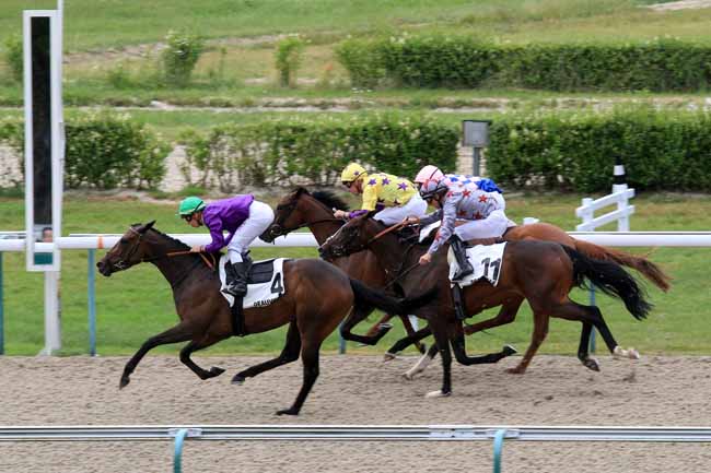 Photo d'arrivée de la course pmu PRIX D'AURIGNY à DEAUVILLE le Jeudi 29 juin 2017