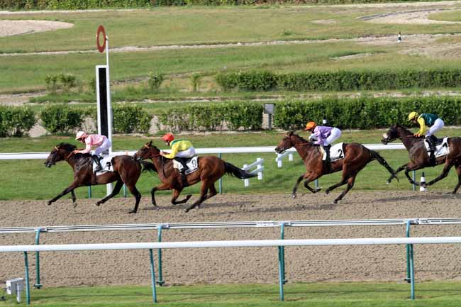 Photo d'arrivée de la course pmu PRIX DE CORMEILLES à DEAUVILLE le Jeudi 29 juin 2017