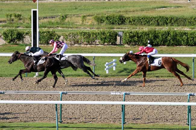Photo d'arrivée de la course pmu PRIX D'ALDERNEY à DEAUVILLE le Jeudi 29 juin 2017